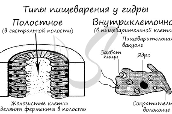 Кракен современный даркнет маркет плейс