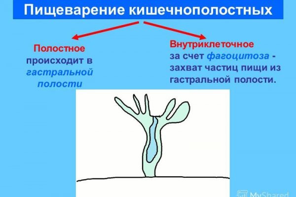 Как восстановить аккаунт на кракене